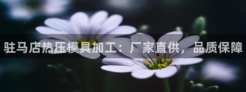 易倍单词官方网站的