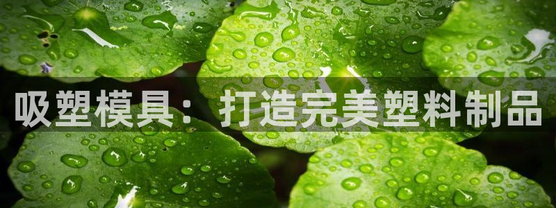emc易倍官方平：吸塑模具：打造完美塑料制品