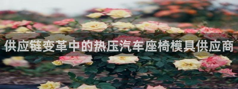 易倍申医保报销