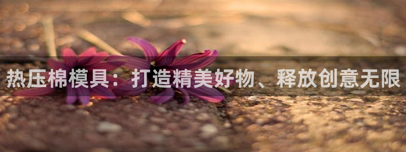 emc 倍频
