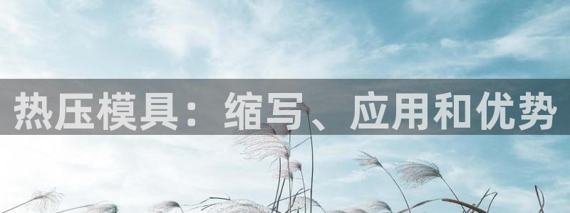 易倍网络技术有限公司怎么样：热压模具：缩写、应用和优势