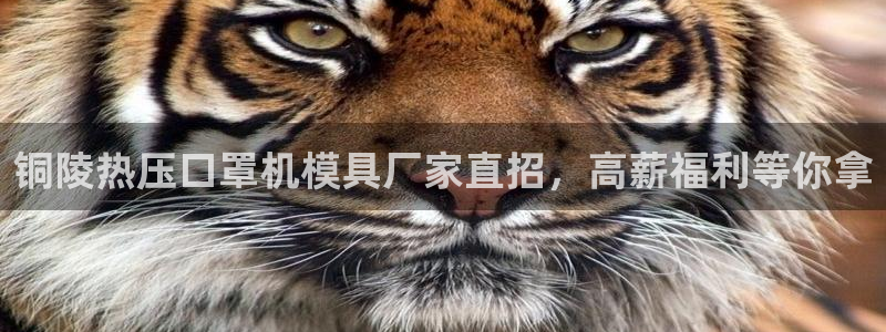 emc易倍是黑台子吗