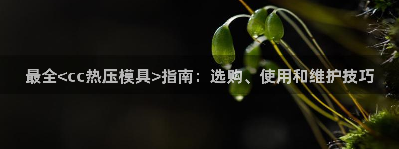 易倍申安理申区别
