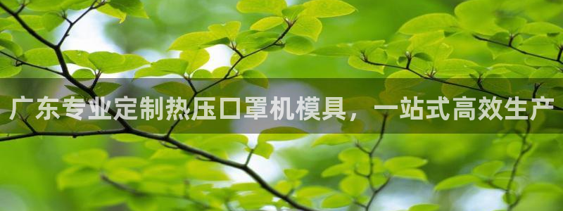 易倍单词登录平台：广东专业定制热压口罩机模具，一站式高效