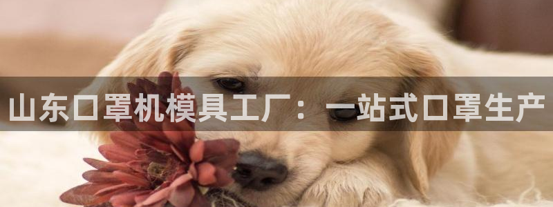 易倍单词登录平台