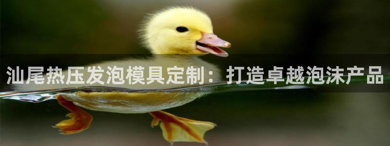 emc易倍ios官网：汕尾热压发泡模具定制：打造卓越泡沫