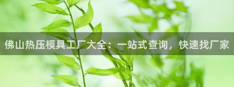 易倍网络技术有限公司招聘