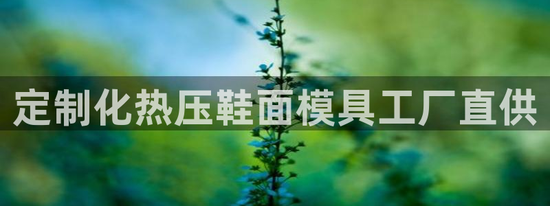 emc全站下载