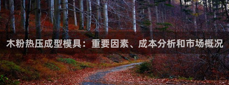 易倍康简历：木粉热压成型模具：重要因素、成本分析和市场概
