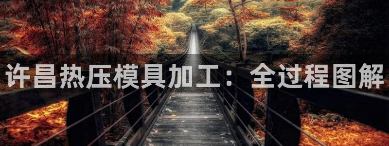 emc易倍是黑台子吗
