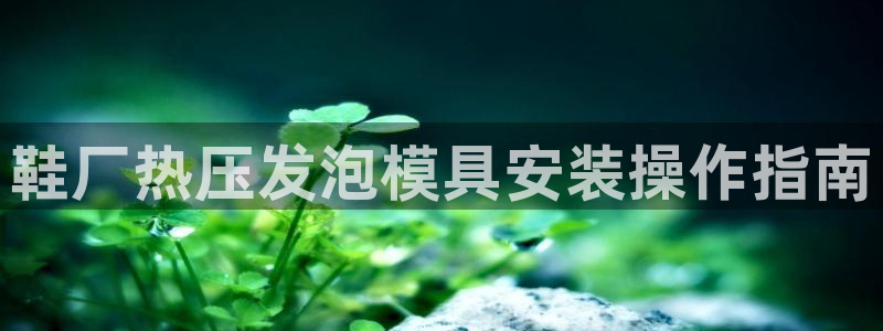 易倍纤代餐粉能减肥吗