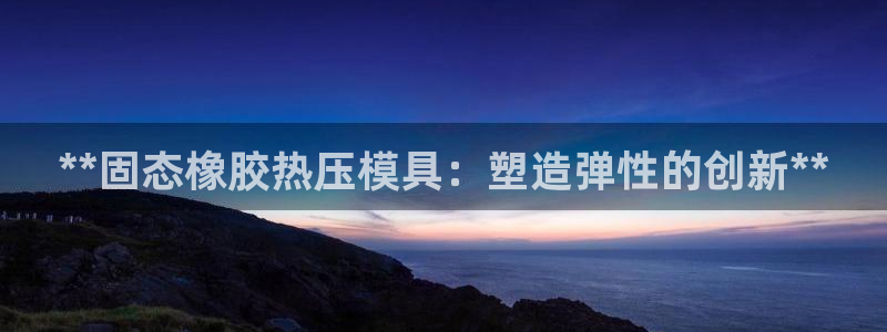 易倍纤代餐奶昔怎么样：**固态橡胶热压模具：塑造弹性的创
