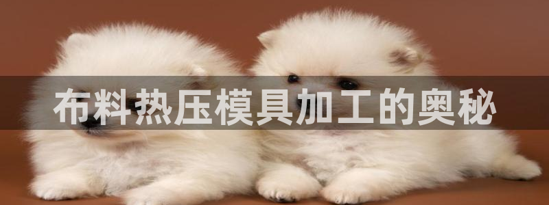 emc易倍官网app