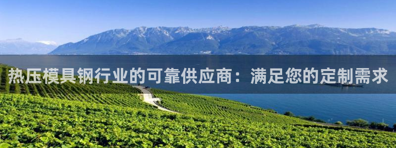易倍思教育：热压模具钢行业的可靠供应商：满足您的定制需求