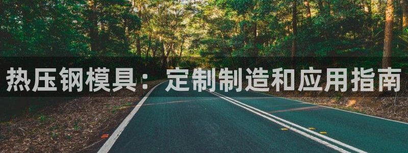 易倍网络技术有限公司官网：热压钢模具：定制制造和应用指南