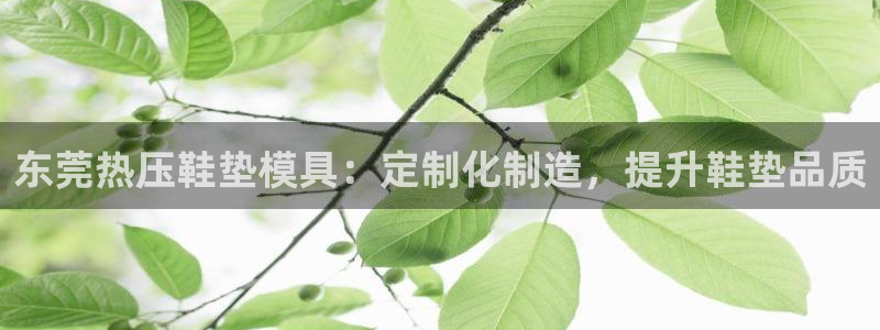 易倍达科技有限公司代运营：东莞热压鞋垫模具：定制化制造，
