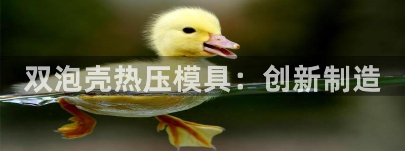 易倍申是进口药吗：双泡壳热压模具：创新制造