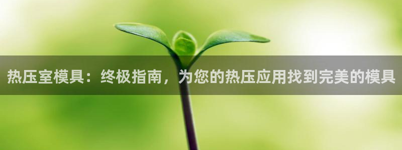 易倍申多少钱一盒：热压室模具：终极指南，为您的热压应用找