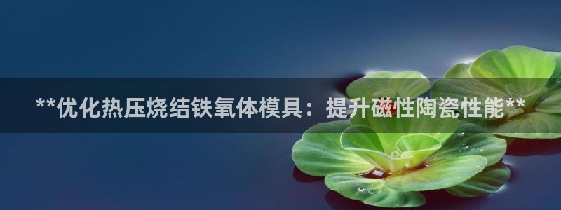 易倍网络技术有限公司怎么样：**优化热压烧结铁氧体模具：