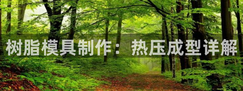 易倍单词软件