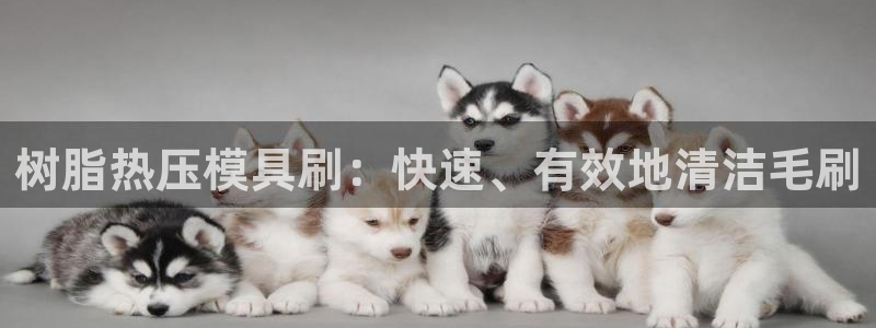 emc易倍下载