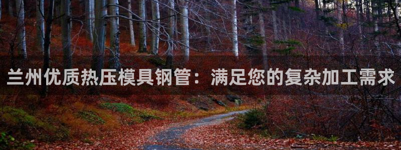 emc易倍官网：兰州优质热压模具钢管：满足您的复杂加工需