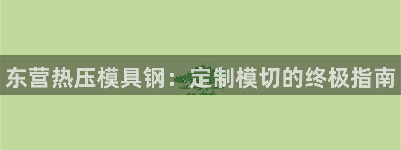 emc易倍官网登录入口：东营热压模具钢：定制模切的终极指