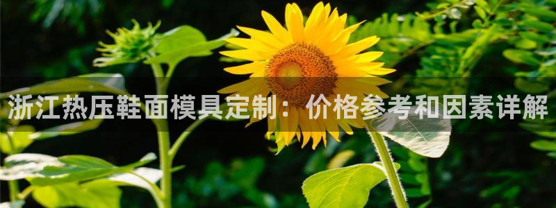 易倍易趣网
