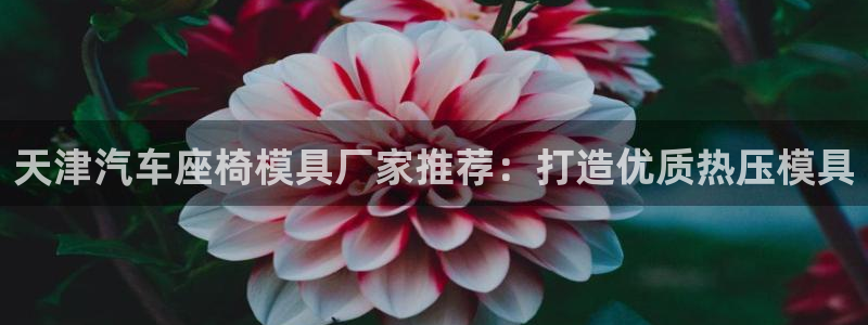 易倍易趣网