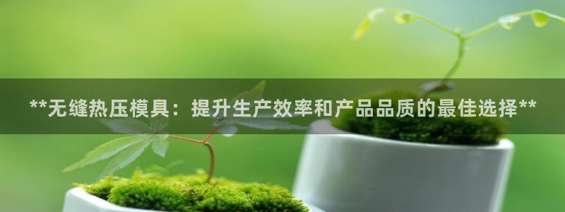 emc倍频超了：**无缝热压模具：提升生产效率和产品品质