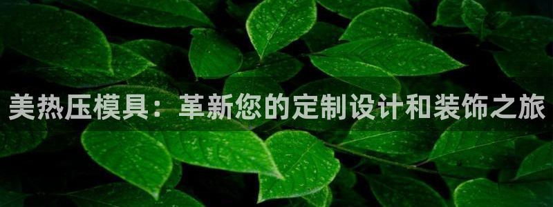 易倍单词app：美热压模具：革新您的定制设计和装饰之旅