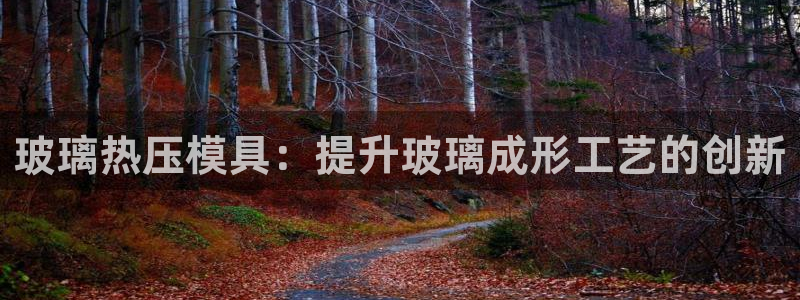 易倍申多少钱一盒：玻璃热压模具：提升玻璃成形工艺的创新