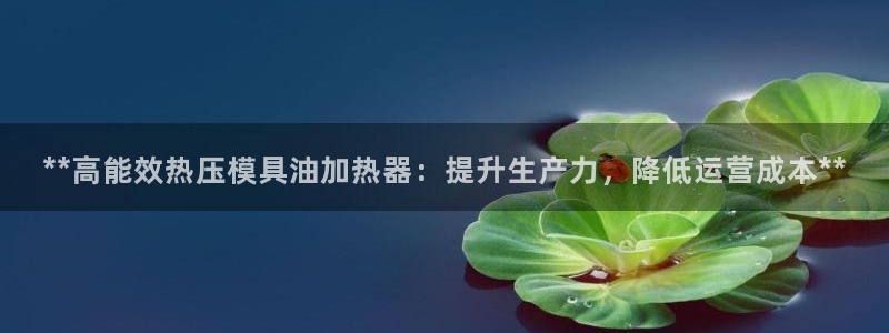 emc易倍官网app下载：**高能效热压模具油加热器：提