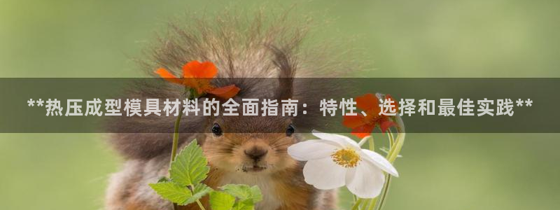 emc易倍官网app：**热压成型模具材料的全面指南：特
