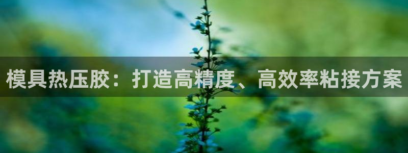 emc服务器是干啥的：模具热压胶：打造高精度、高效率粘接