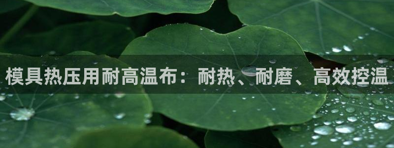 易倍单词app官网