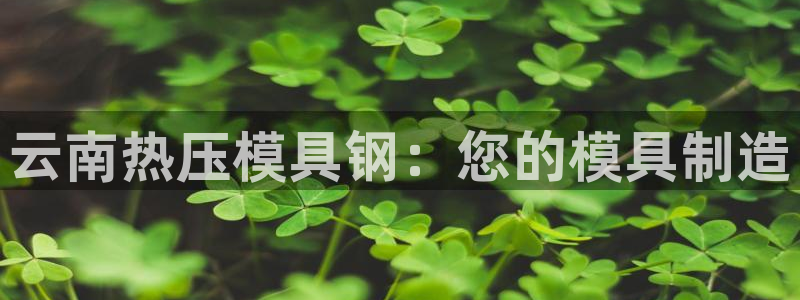 易倍申服用方法：云南热压模具钢：您的模具制造