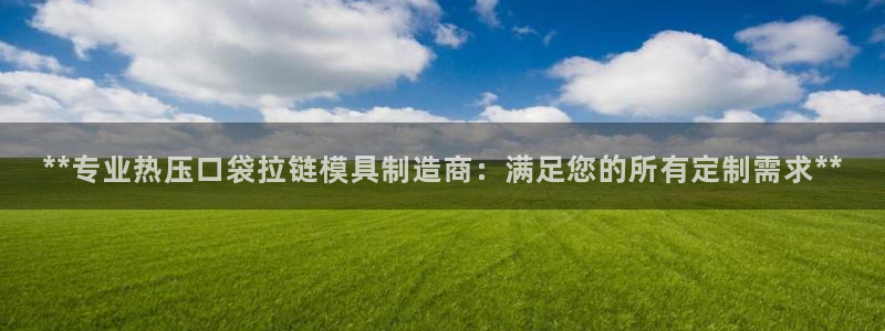 易倍电竞：**专业热压口袋拉链模具制造商：满足您的所有定