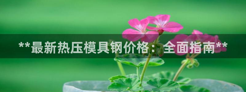 emc易倍登录：**最新热压模具钢价格：全面指南**