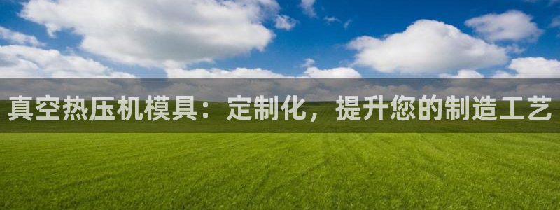 emc备份软件：真空热压机模具：定制化，提升您的制造工艺
