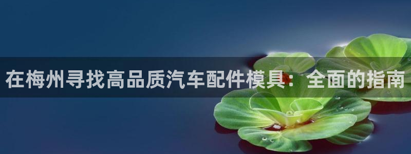 emc易倍账号异常：在梅州寻找高品质汽车配件模具：全面的
