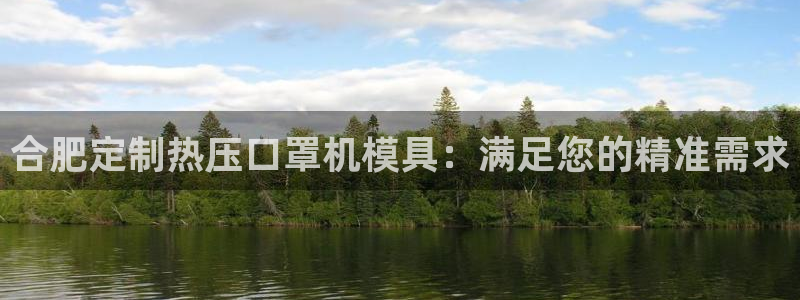 易倍申片：合肥定制热压口罩机模具：满足您的精准需求