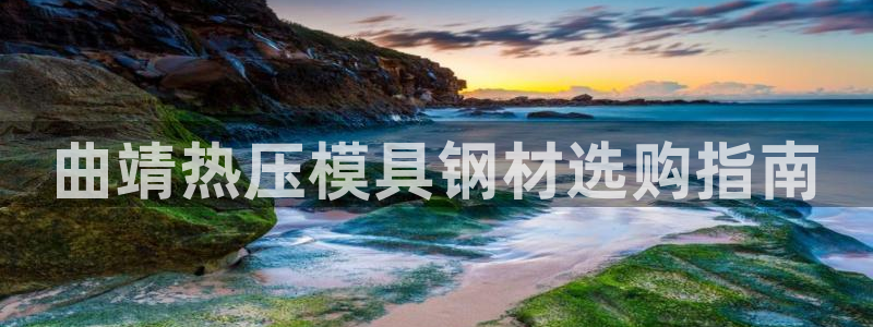 易倍单词官方网站