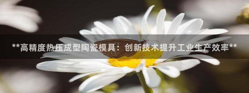 EMC易倍官网招聘：**高精度热压成型陶瓷模具：创新技术