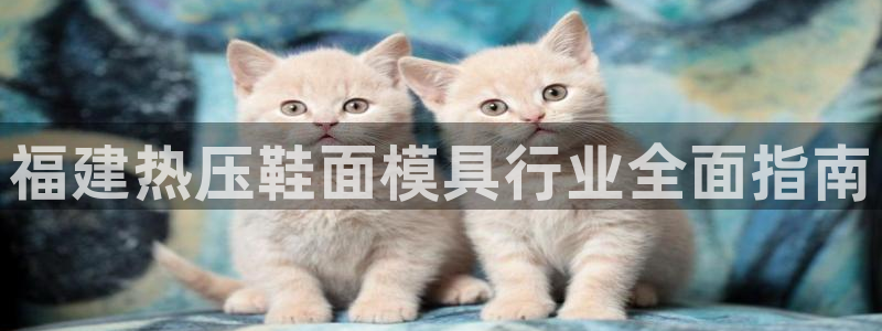 易倍纤减肥价格：福建热压鞋面模具行业全面指南