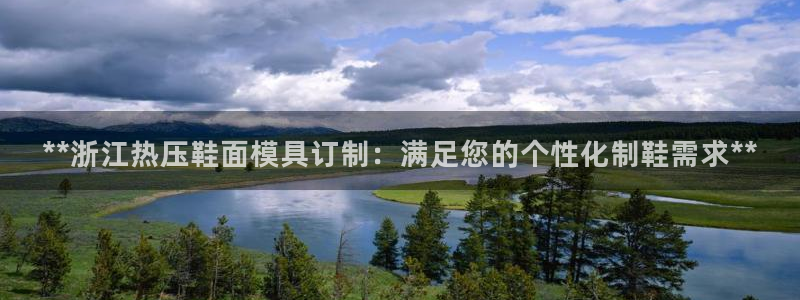 易倍app官网下载：**浙江热压鞋面模具订制：满足您的个