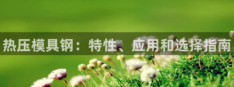 易倍申价格：热压模具钢：特性、应用和选择指南