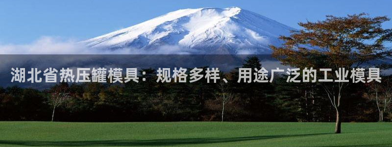 emc倍频干扰：湖北省热压罐模具：规格多样、用途广泛的工