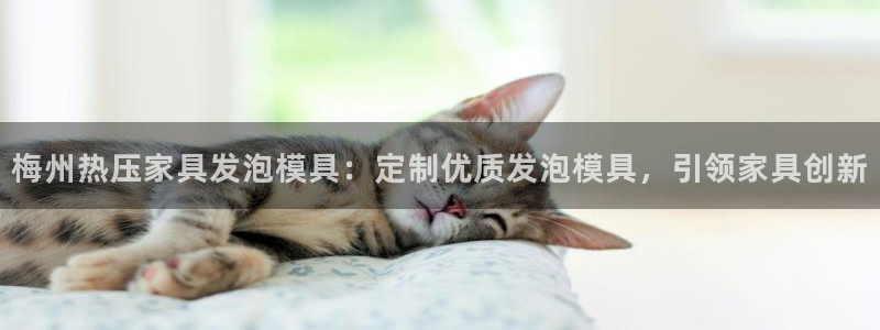 易倍思怎么样：梅州热压家具发泡模具：定制优质发泡模具，引