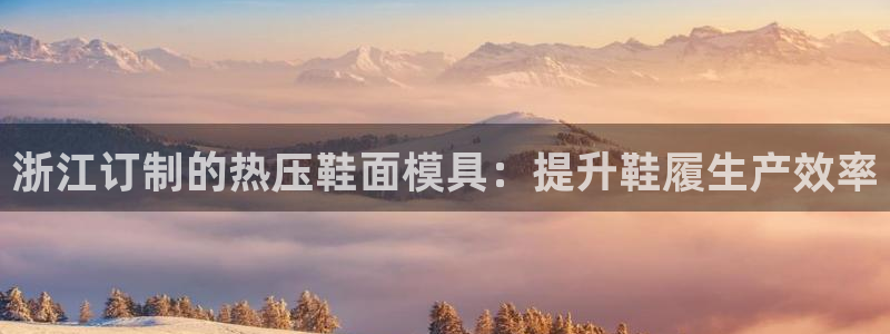 emc低频：浙江订制的热压鞋面模具：提升鞋履生产效率